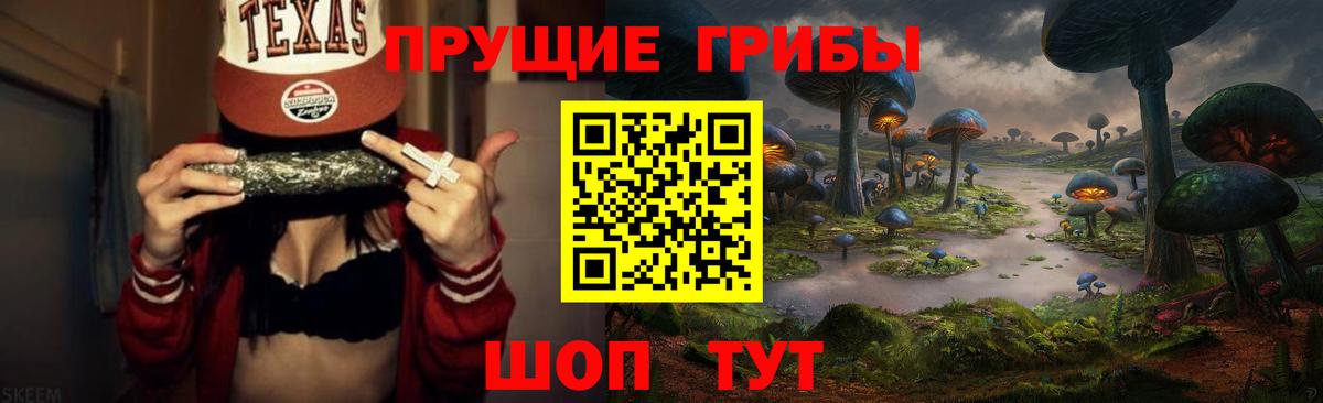 Галлюциногенные грибы Magic Shrooms  продажа наркотиков  Шуя  Вход с VPN 