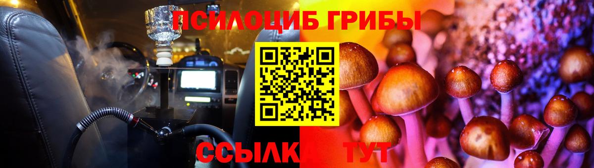 Галлюциногенные грибы Psilocybine cubensis Шуя